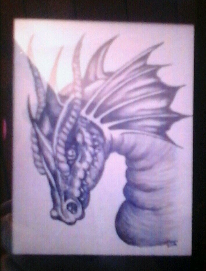 mathwizard43's profile picture. wtf bomb