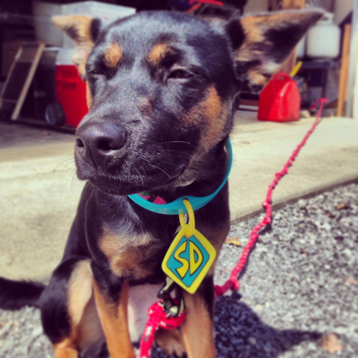 a_bjones's profile picture. 