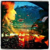 Leonora LaPeter Anton (@writerleonora) 's Twitter Profile