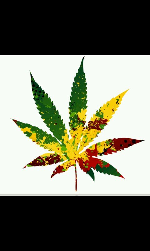 Follow for some relatable weed tweets! #StonerNation #Cannabis #Marijuana