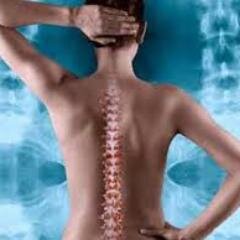 ChiropracticFan's profile picture. Chiropractic Social Media Information