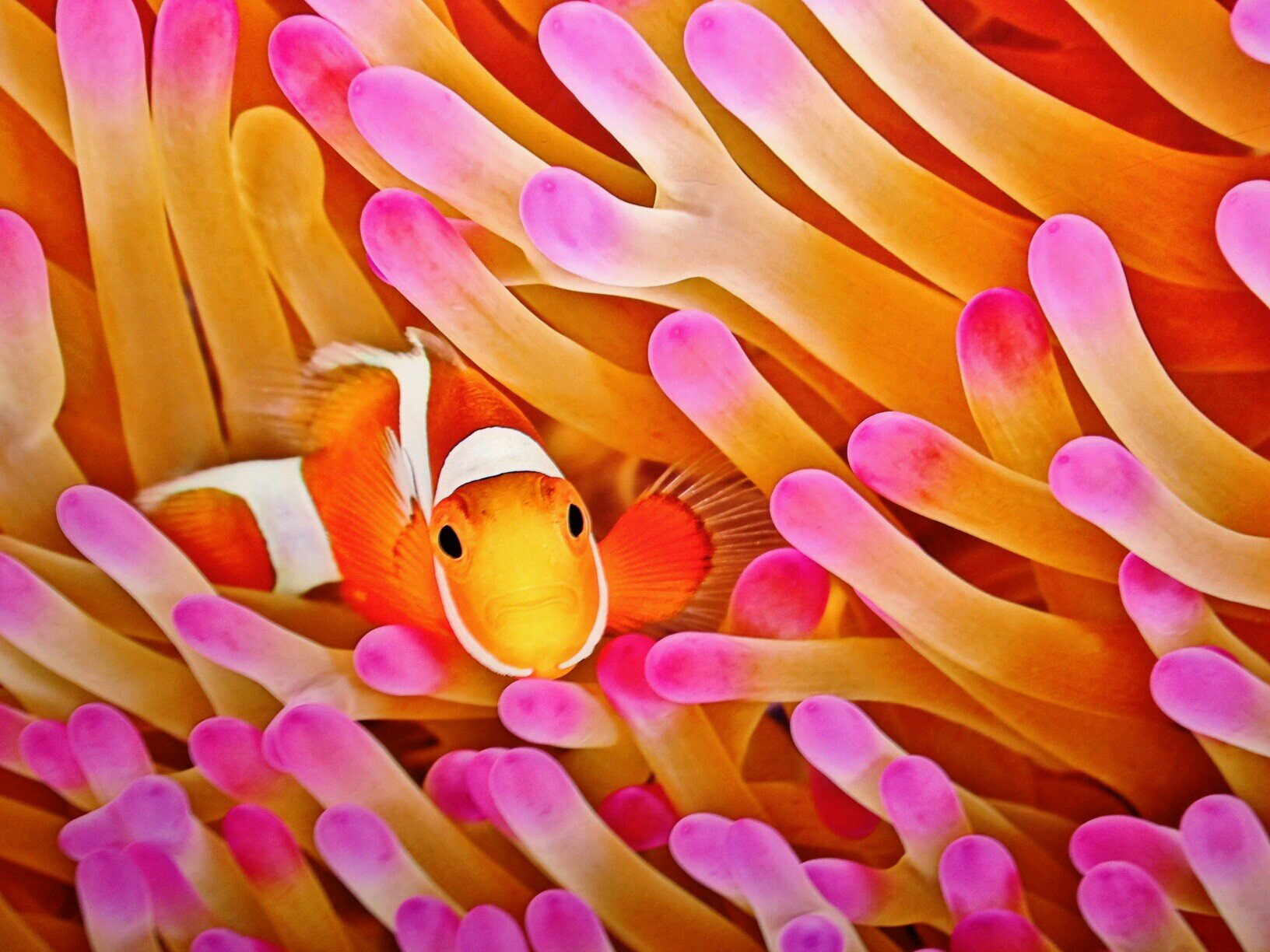 NaglerJulie's profile picture. 