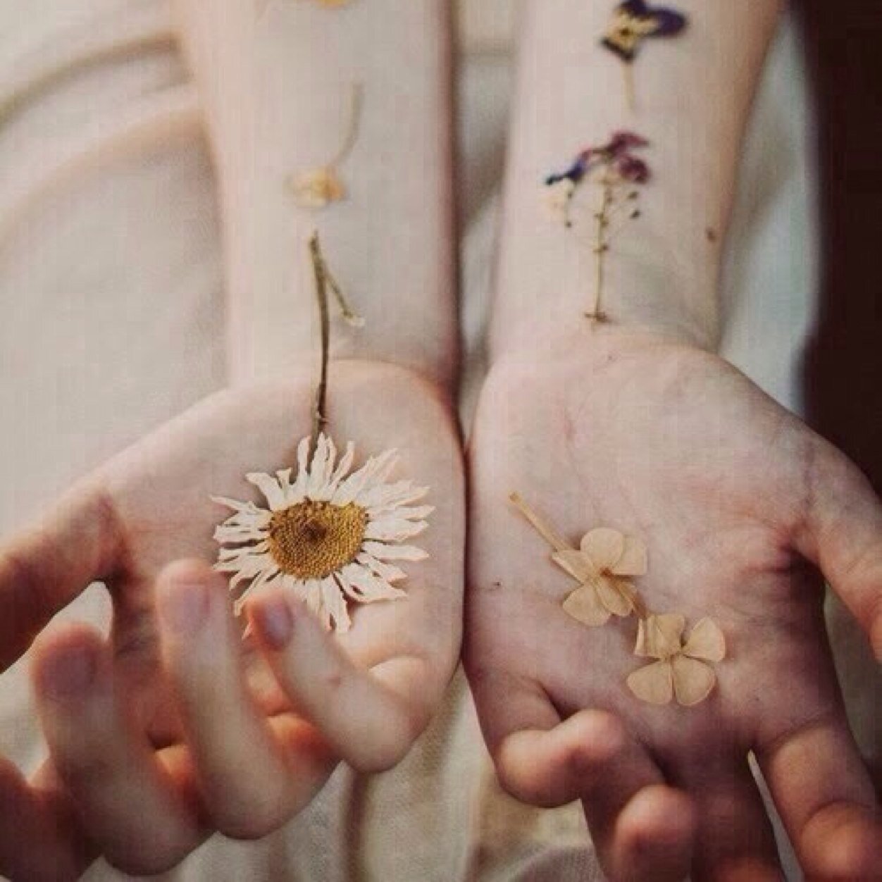 tiny vessels // #illhueminati