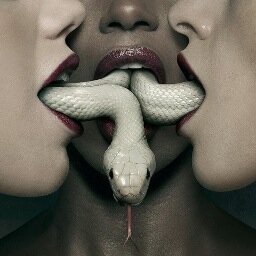 RippoExorsus's profile picture. 