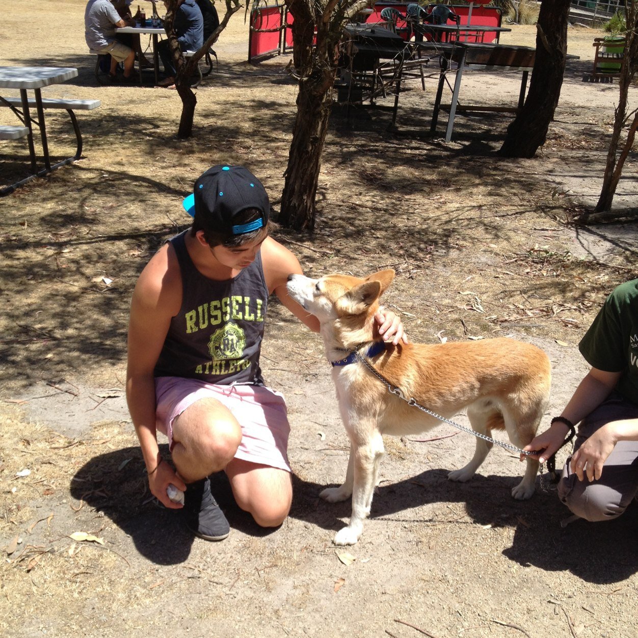 lodge_mike's profile picture. If bound for Lafayette (NYC get the rotisserie chicken. Terrific