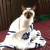 Brian pro Canada (@brewmorr) Twitter profile photo