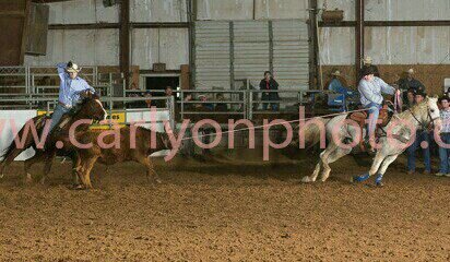 DallasKelley12's profile picture. 