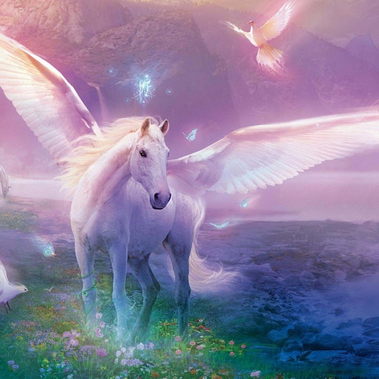 Belive in things that are not true (IMAGINE)/ /---\ \ - - - - this is a Rainbow