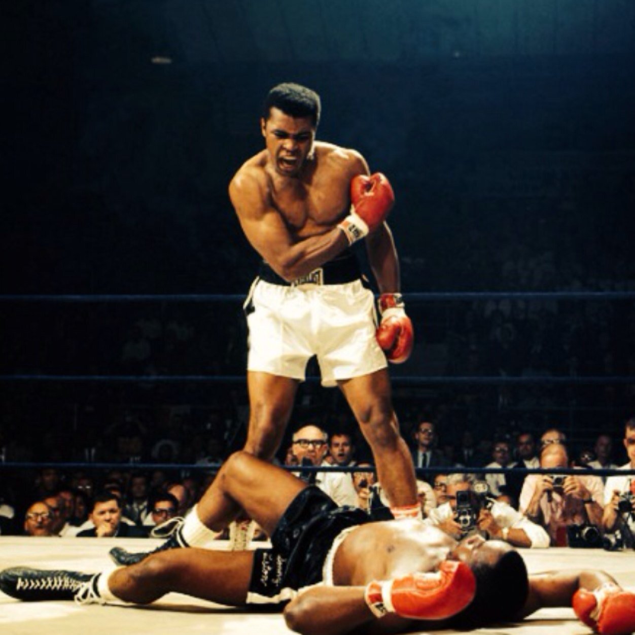 NEVER give up! u win some u lose some but u live to fight another day!