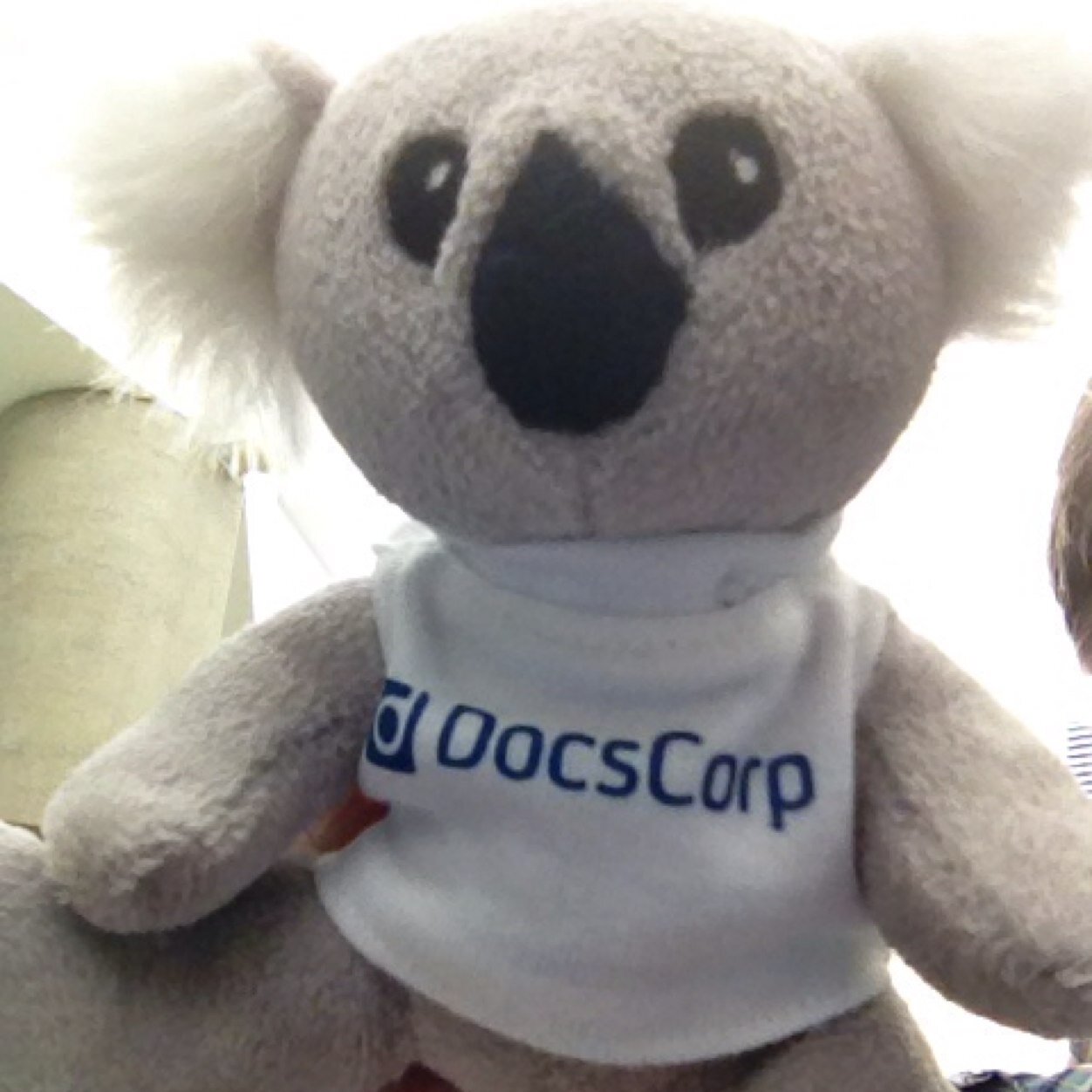 Docscorp_KBear's profile picture. 