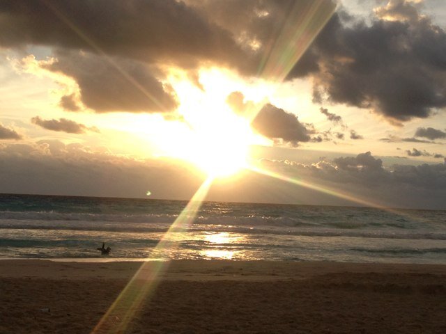 BettrStrategy's profile picture. 