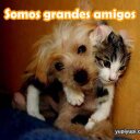 karla lucia polanco - @kar92karla - Twitter