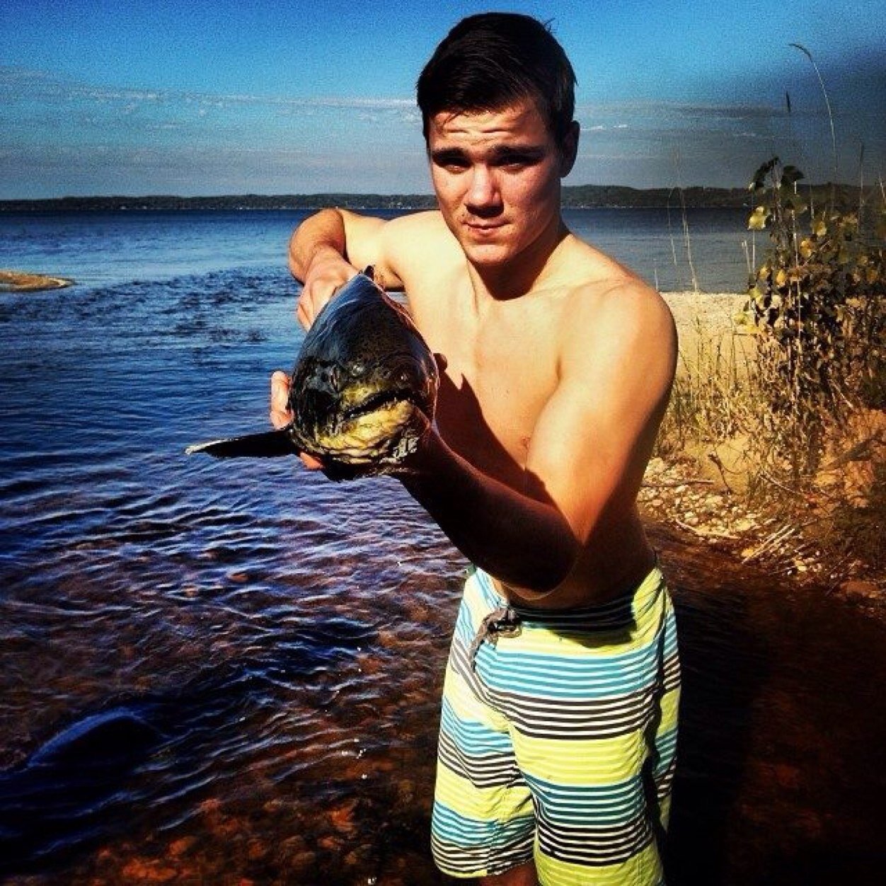 logan_arlis's profile picture. 