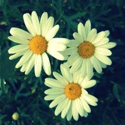 I'm random, quirky and outgoing single mother of twin toddler girls ..you'll never know what you're going to get when you read my tweets  :)