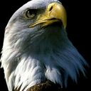 Sqr 1986 (@11Aoegy) Twitter
