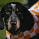 Brian Grice - @bgrice360 - Twitter