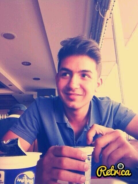 file bekcisi