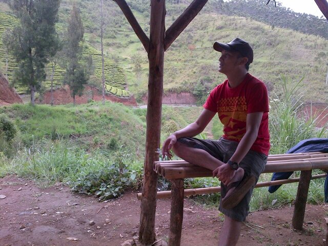 Freestyler zone
