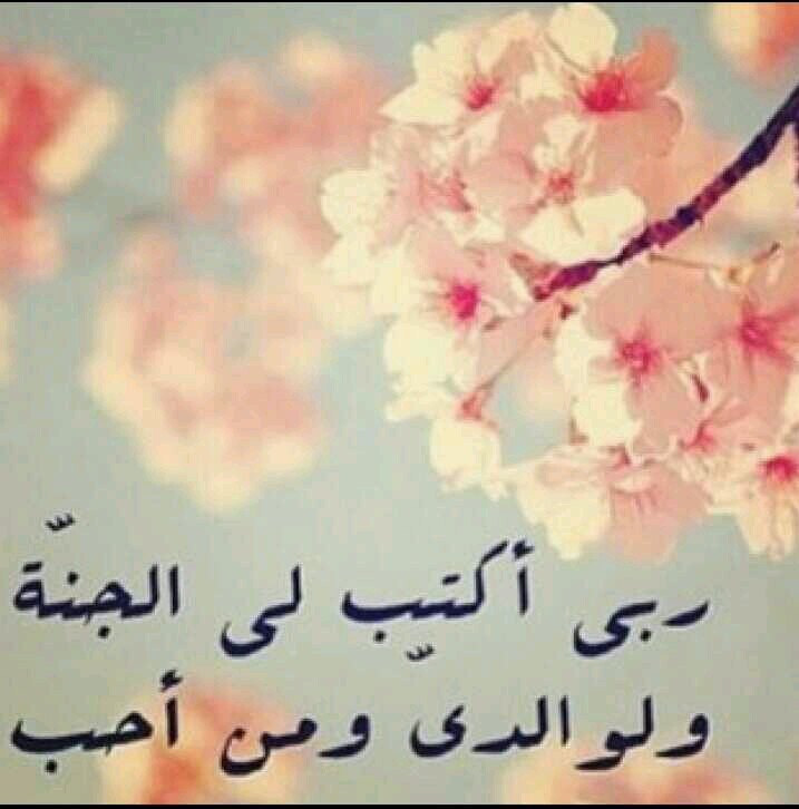 سبحان الله وبحمده سبحان الله العظيم