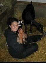 Work on a Grade A lamancha goat dairy called Gothberg Farms.