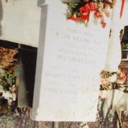 ZoltanSays's profile picture. Nonprofits are hard to run | Currently in a kid life crisis | Day by day, there is more meaning and less time