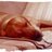 1stworlddogB's profile image