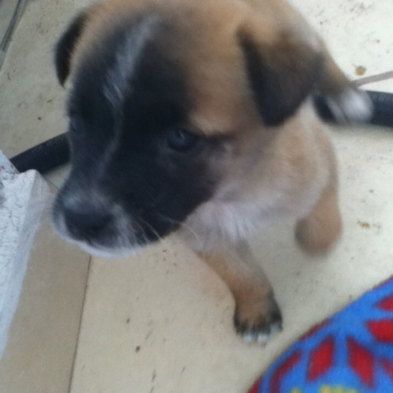 Orlando12C's profile picture. 