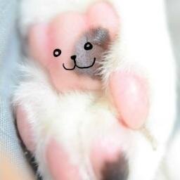 落ち込んでる Ochikonderu Twitter 落ち込んでる Ochikonderu Twitter