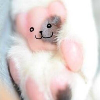 落ち込んでる Ochikonderu Twitter 落ち込んでる Ochikonderu Twitter