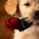 john vale - @johnvale5 - Twitter