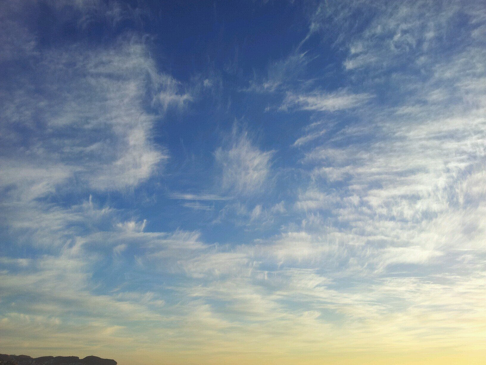 judithwisbar's profile picture. Environmental International Management