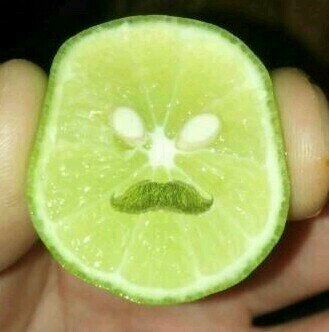 esemichris's profile picture. I love pizza and I love naps