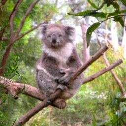 Wife, mum, science educator and coordinator @ an independent school