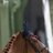 FEI_WCUP_LYON's profile image