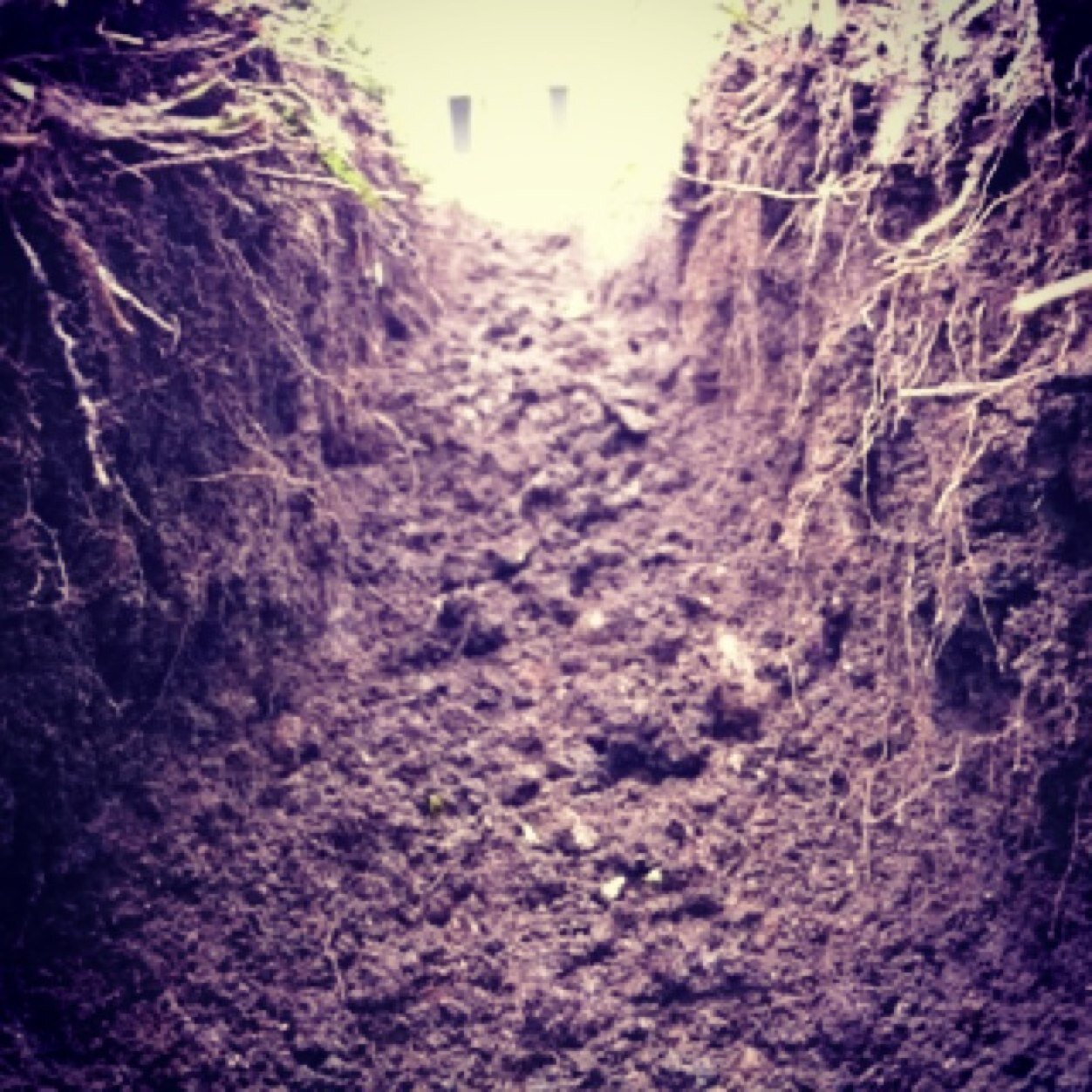 gripandripmx's profile picture. Lets talk motocross