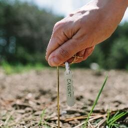 NewAgrarians's profile picture. 