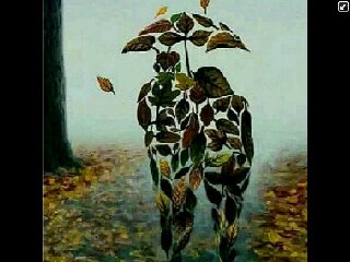 BellaEdnah's profile picture. i love being happy... i love every one.... i love having fun.... i love making new friends.... i love music