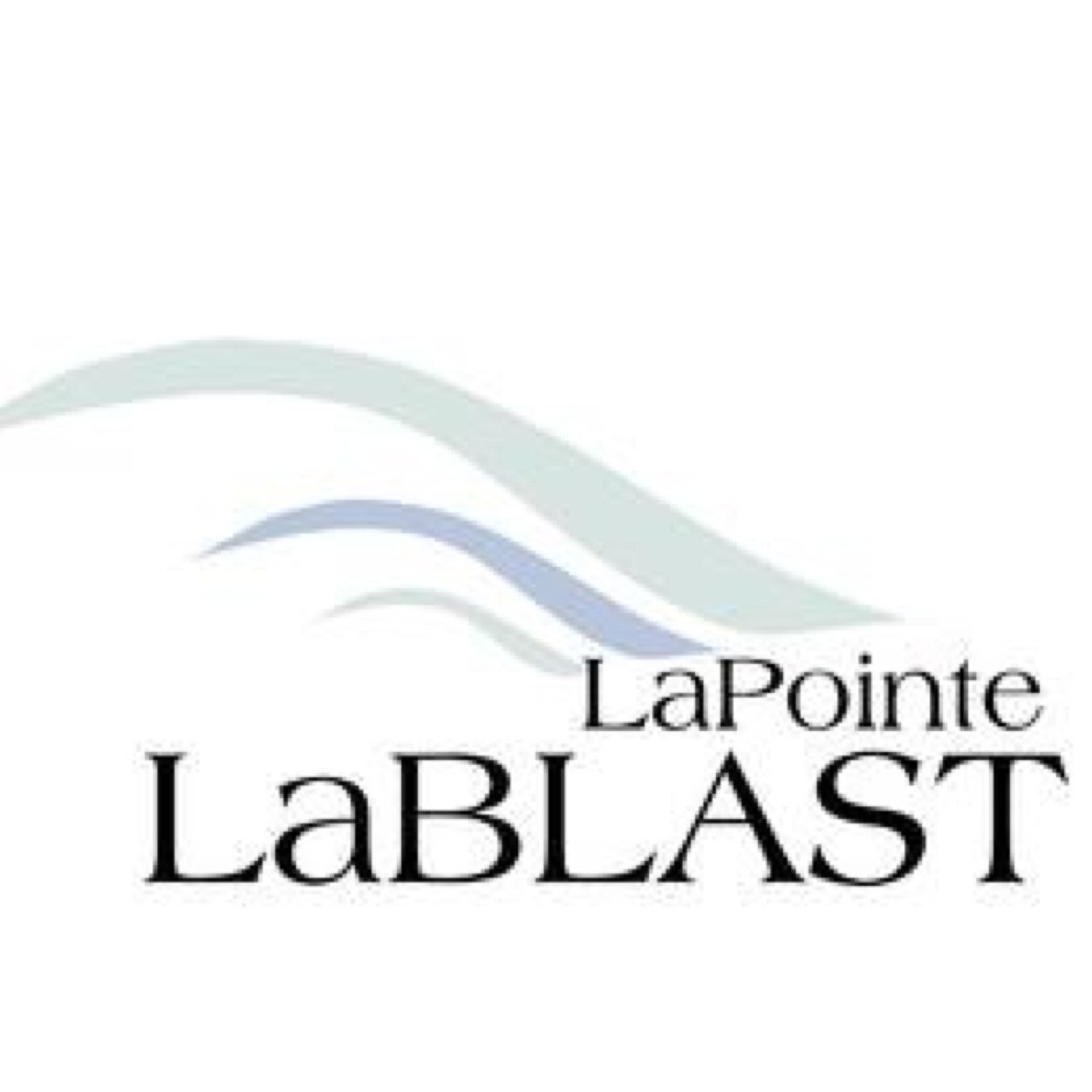 LaPointeLaBlast's profile picture. 