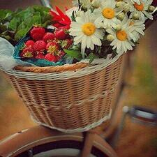 صدقه جآريه لامي وأبوي  .. اذكر الله يذكرك