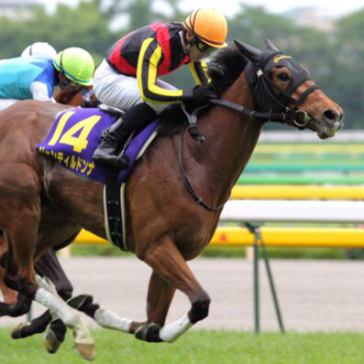 Gbeat27's profile picture. ♡ジェンティルドンナ♡ この馬に惚れ込んでいます!!!!! ワンアンドオンリーも好き！あと読売巨人軍も大好きです(^^)特に原監督と勇人！まぁ基本的には皆好きですが♪ポンコツコンビニ店員です♪皆よろしくね♪