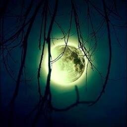 baruchspi's profile picture. « Ne craignez pas d’être lent, craignez seulement d’être à l’arrêt.  » Comité régions Union Européenne