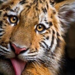 estou aqui e pra viver,cair,aprender,levantar e seguir em frente. nao mi julgue antis de me conhecer nao mi acho so nao vou com tua cara rarara.