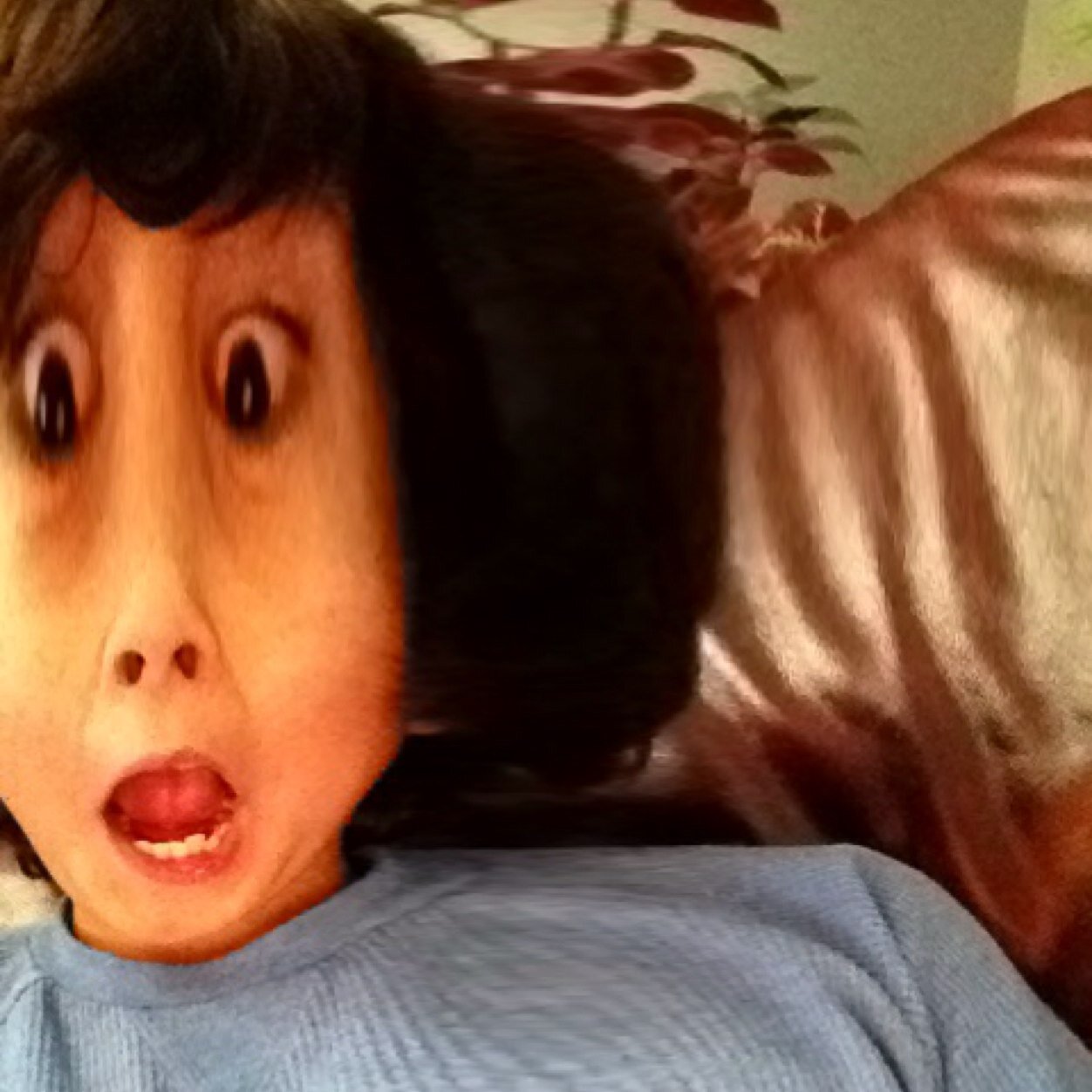 mohamma73627995's profile picture. 