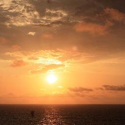 mopsfortheboys's profile picture. Engineer. Mother. Feminist. Want to see more men in domestic roles so children grow up seeing equality.