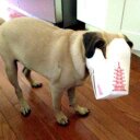 Mark Mahler - @mmahler - Twitter