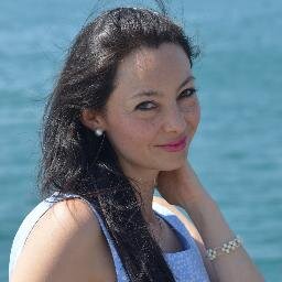 professionnelle en gestion de l'information et la connaissance, Montpellier III