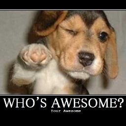 Musician, Educator, Composer, Arranger, Pelham Memorial School Enthusiast, Enforcer of all things awesome.