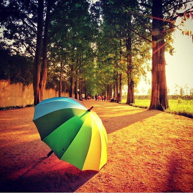 Anwar_M7md's profile picture. 