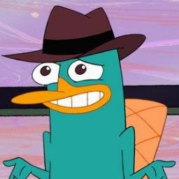 Hi,my name is a Perry, im live in a cartoon) #followback #rufollowback #FOLLOWBACK #follow #following