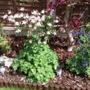 john oldland - @JohnOldland - Twitter